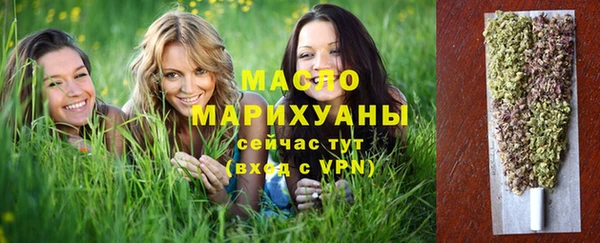 дживик Слюдянка