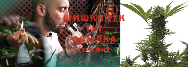 дживик Слюдянка