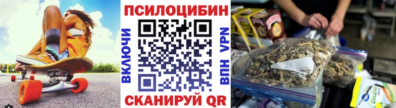 Галлюциногенные грибы Psilocybine cubensis Волчанск